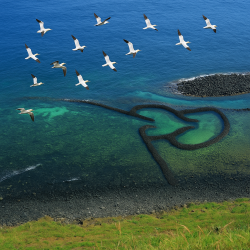 2/22墾丁自強活動ㄧ日遊 #精采照片